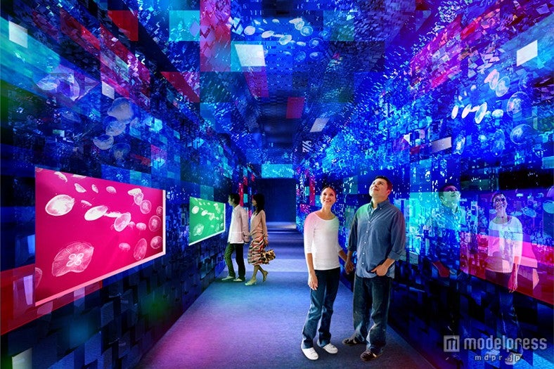万華鏡トンネル＆プロジェクションマッピング　都心の水族館で2つの新展示