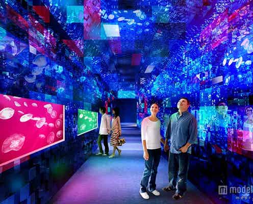 万華鏡トンネル&プロジェクションマッピング 都心の水族館で2つの新展示