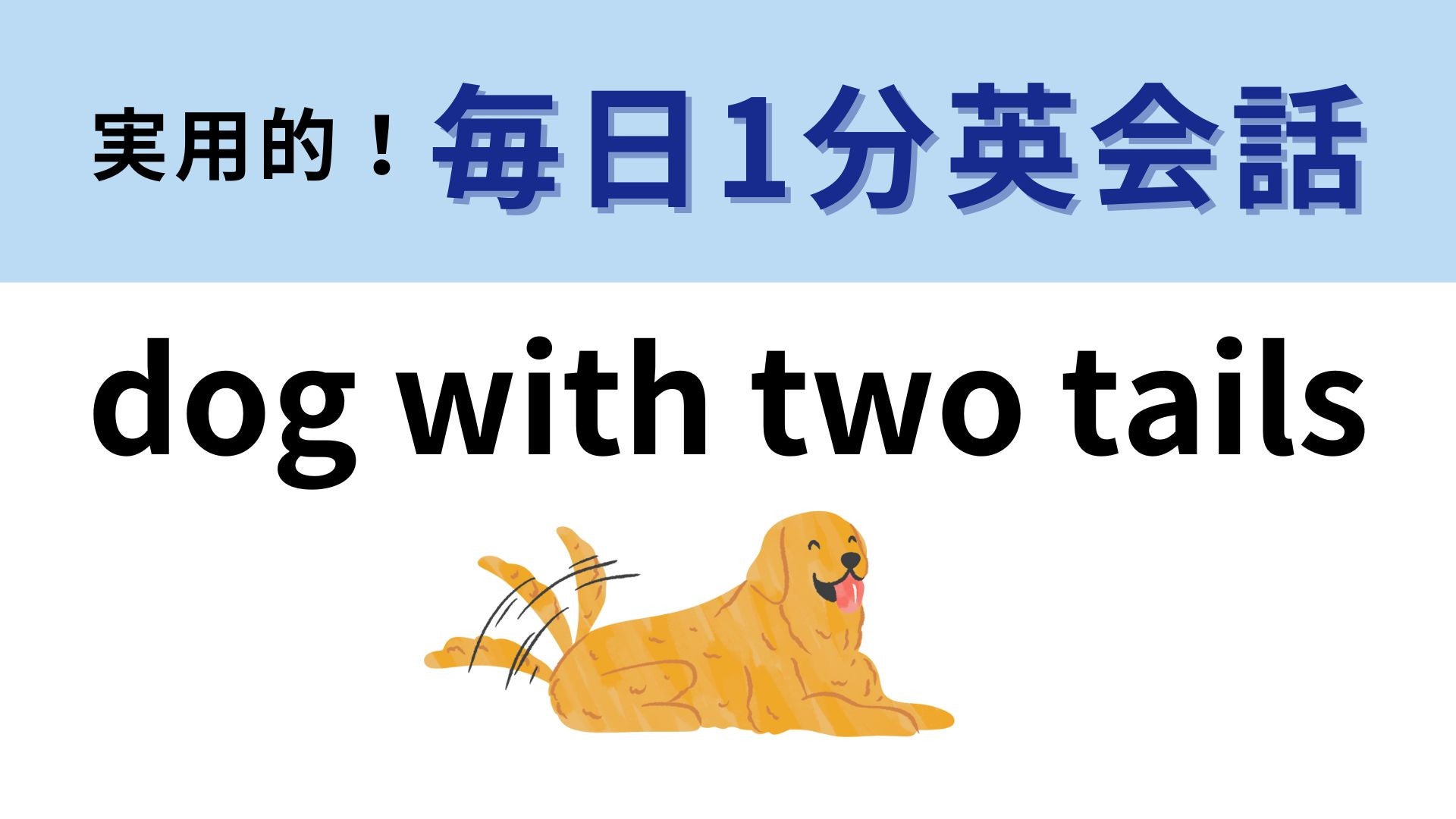 「dog with two tails」の意味は？犬がしっぽを振る様子をイメージして...！【1分英会話】