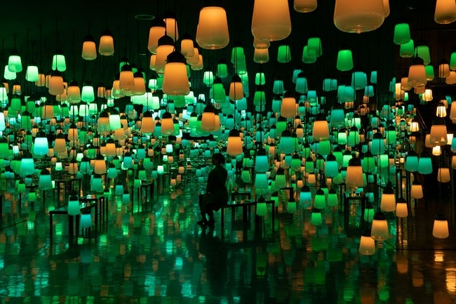 森の中の、呼応するランプの森とスパイラル - ワンストローク、山の紅葉／画像提供：チームラボ