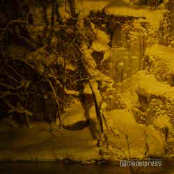 氷瀑ライトアップツアー／千筋の滝（C）モデルプレス