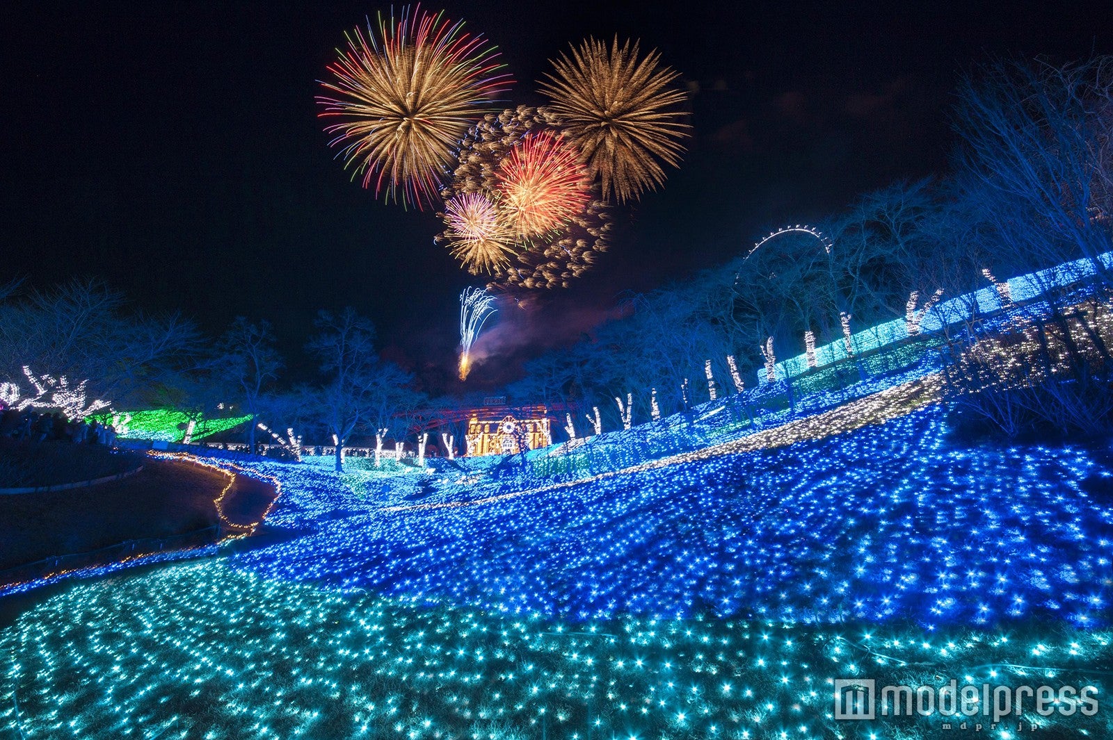 イルミ300万球＆花火が光の競演　“納涼イルミ”で最高の夏休み