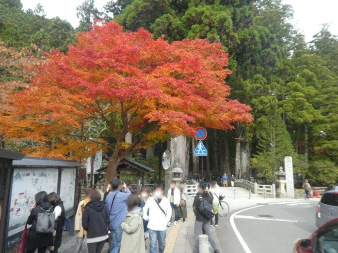 奥の院口バス停から奥之院への表参道入口と紅葉(2021年11月6日撮影)