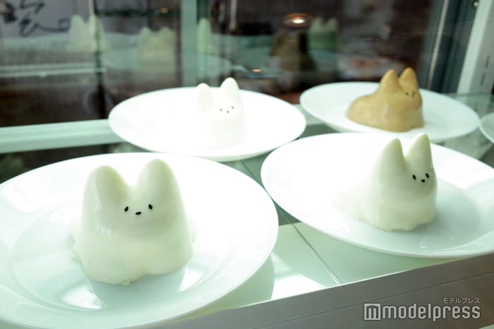 (C)モデルプレス