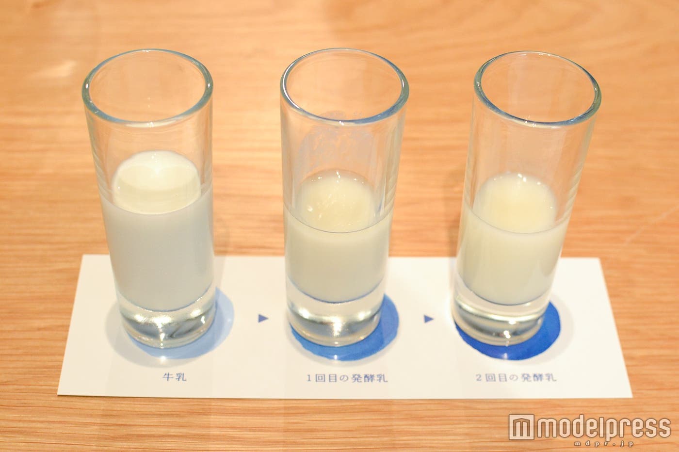 「カルピス」製造工程の途中段階、発酵乳の飲み比べも(C)モデルプレス