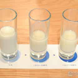 「カルピス」製造工程の途中段階、発酵乳の飲み比べも（C）モデルプレス