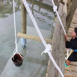 力試し/画像提供:富士急行