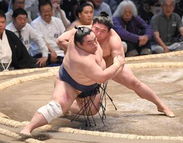 若元春が新日本プロレスを熱弁「でかくて強い選手は華がある」