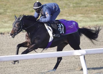 【きさらぎ賞】エムズビギン動き抜群 1週前追い切り騎乗の川田も絶賛