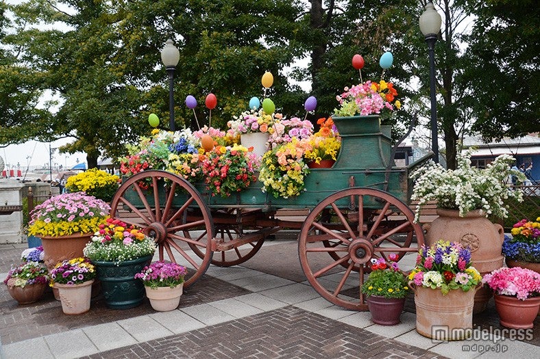 花々で飾られたフォトスポット