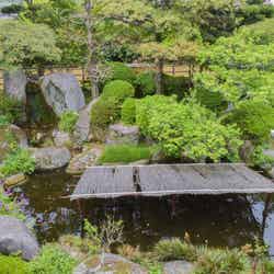 中庭/画像提供:Asile