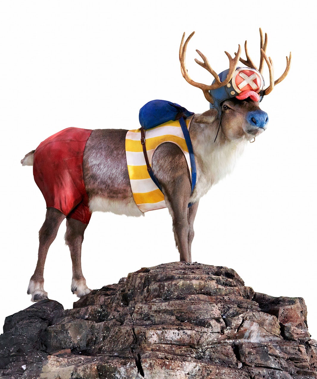 チョッパー／提供写真