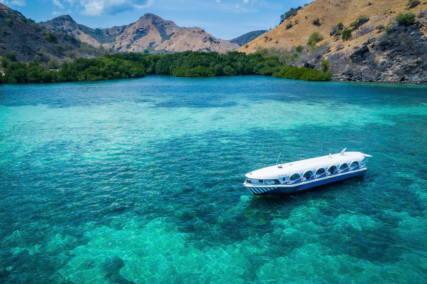 クジラをイメージした可愛いボート「ラコ タカ」／底はガラス張りで海中の様子がくっきり（提供写真）