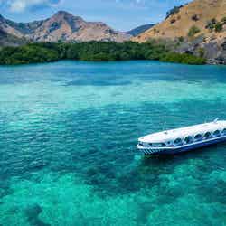 クジラをイメージした可愛いボート「ラコ タカ」/底はガラス張りで海中の様子がくっきり(提供写真)