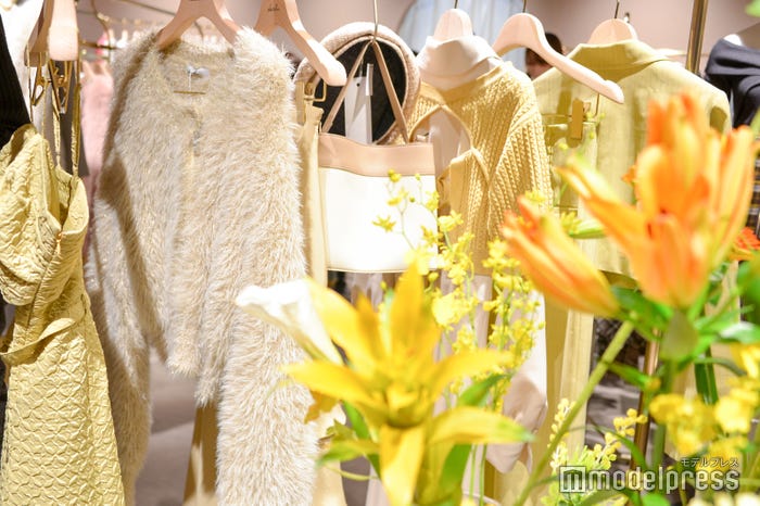 dazzlin 23AW(C)モデルプレス