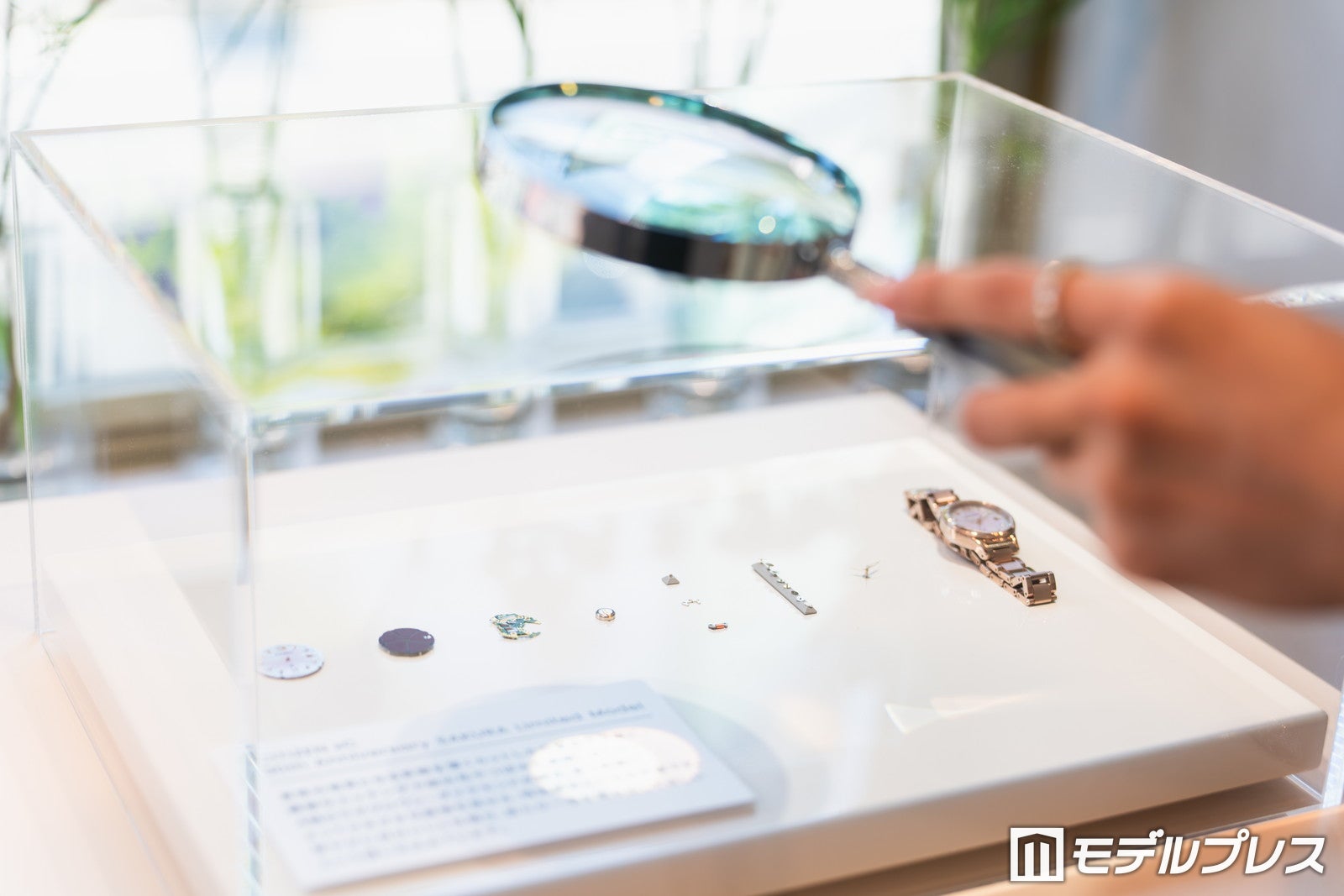 CITIZEN xC 30th Anniversary POP UP EVENT “BLOOM YOUR LIFE”（C）モデルプレス