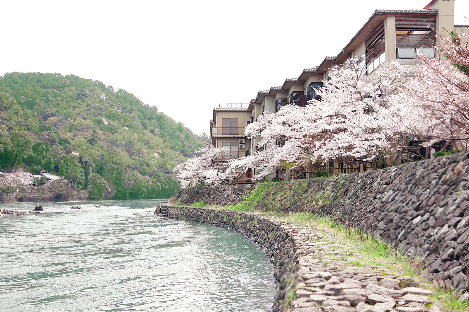 茶兎里／提供画像