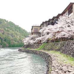宇治川ビュー&桜や紅葉も楽しめる!京都に粗挽き蕎麦店「茶兎里」誕生
