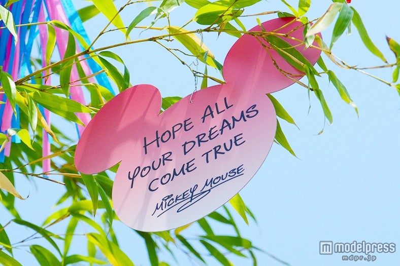 ミッキーのウィッシングカード