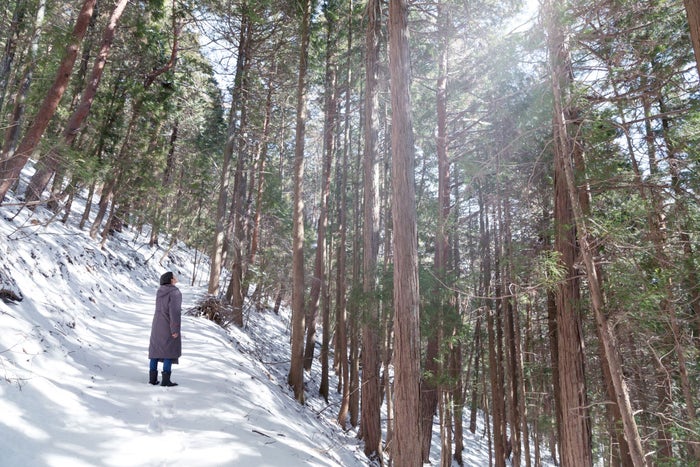 星のや富士／画像提供：星野リゾート