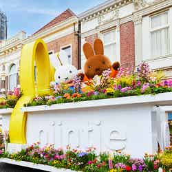 ミッフィーの新パレード/提供画像