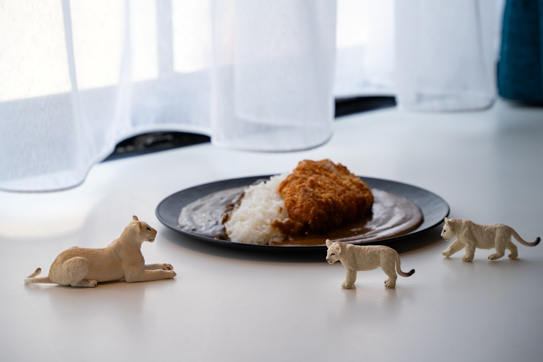 【神戸】カレーがなんと550円から⁉ シルバーウィークに「北野カレー」が1周年記念イベントを開催！