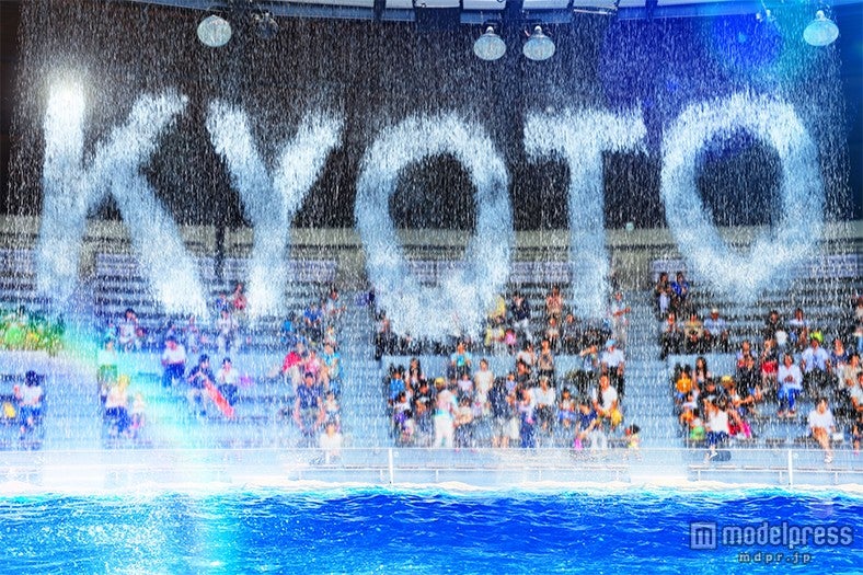 流れ落ちる圧巻の水しぶき（イメージ）／画像提供：京都水族館