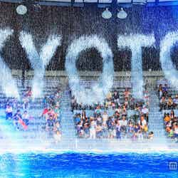 流れ落ちる圧巻の水しぶき(イメージ)/画像提供:京都水族館