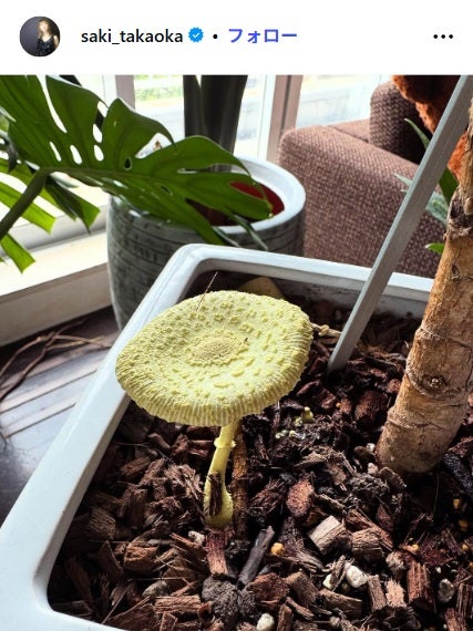 高岡早紀Instagramより