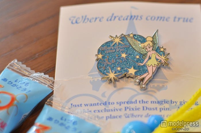 閉園後のディズニーランドを貸切 30周年パレードがスペシャルバージョンに モデルプレス 閉園後のディズニーランドを貸切 30周年パレードがスペシャルバージョンに モデルプレス