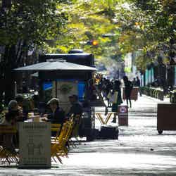 /画像提供:三菱一号館美術館