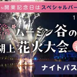 ムーミン谷の湖上花火大会~春~(C)Moomin Characters