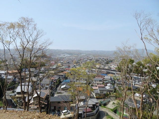 【絶景】地元の人しか知らない？奈良「桜の穴場スポット」