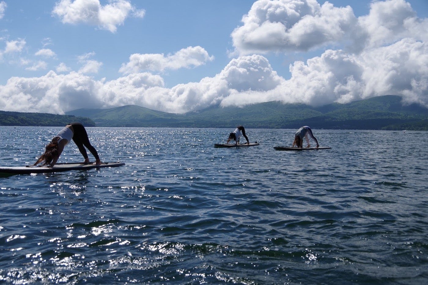 ハクタカマリン／提供画像