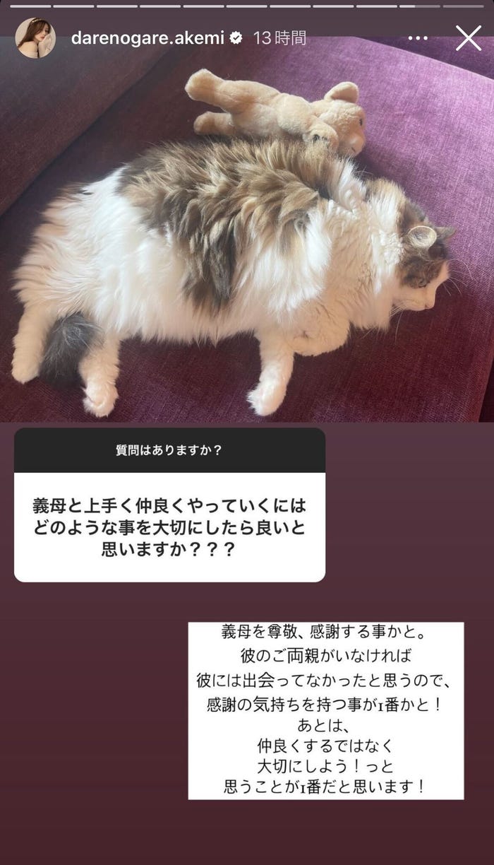 ダレノガレ明美Instagramストーリーズより