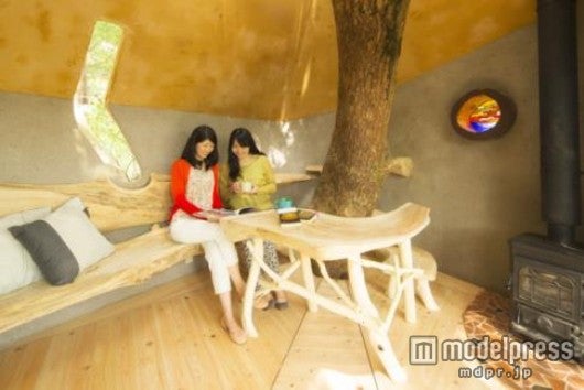 ツリーハウスでやすらぎの森時間