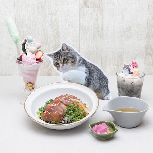 もちまるカフェ In Osaka 大阪 心斎橋パルコで パフェやスムージー 新グッズも登場 女子旅プレス もちまるカフェ In Osaka 大阪 心斎橋パルコで パフェやスムージー 新グッズも登場 女子旅プレス