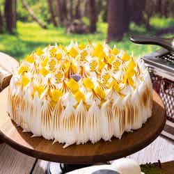 Snoopy’s Summer Camp/提供画像