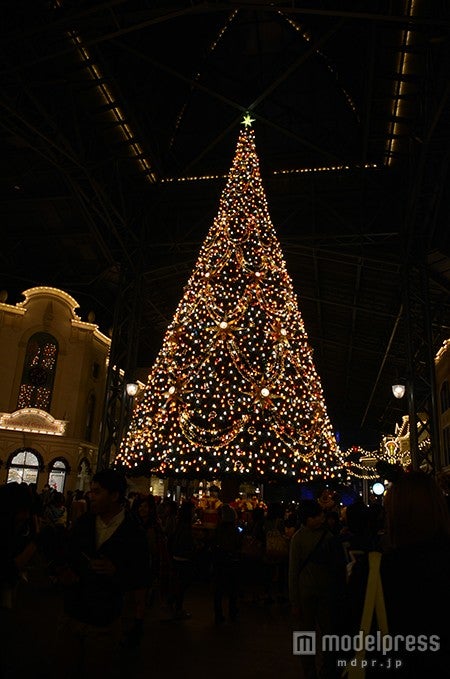 ディズニーランド・デコレーション