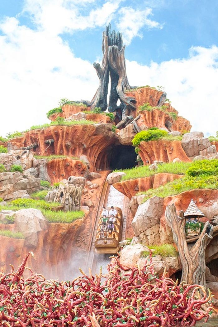 東京ディズニーランド「スプラッシュ・マウンテン」(C)Disney