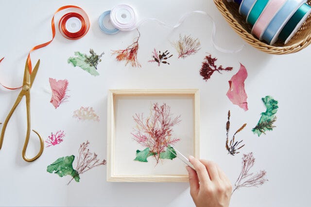 星野リゾート リゾナーレ熱海 星野リゾート リゾナーレ熱海