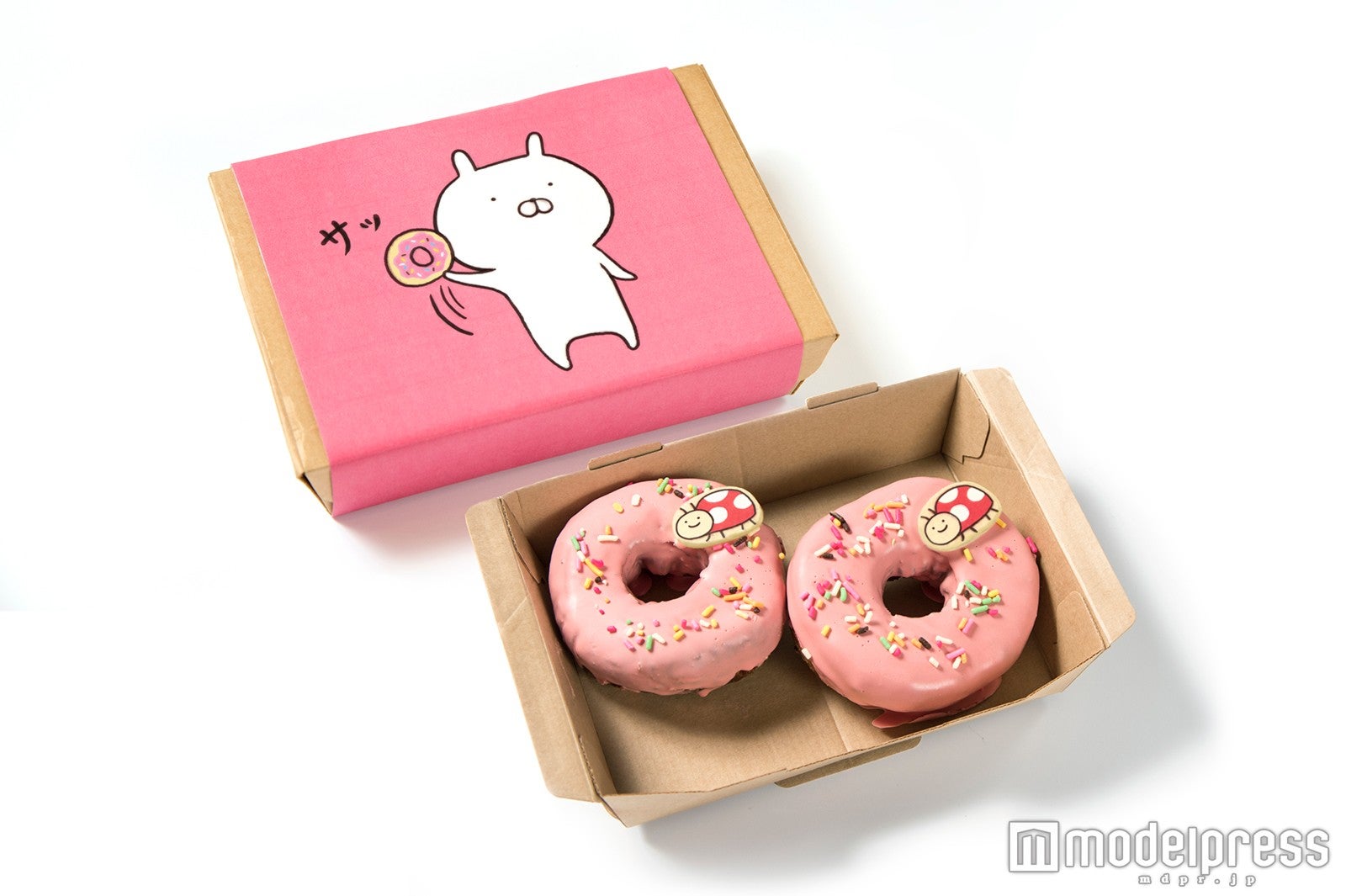 テイクアウト限定／ドーナッツ2個入り　800円（税抜）（C）sakumaru／LINE