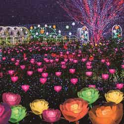 あしかがフラワーパーク/提供画像