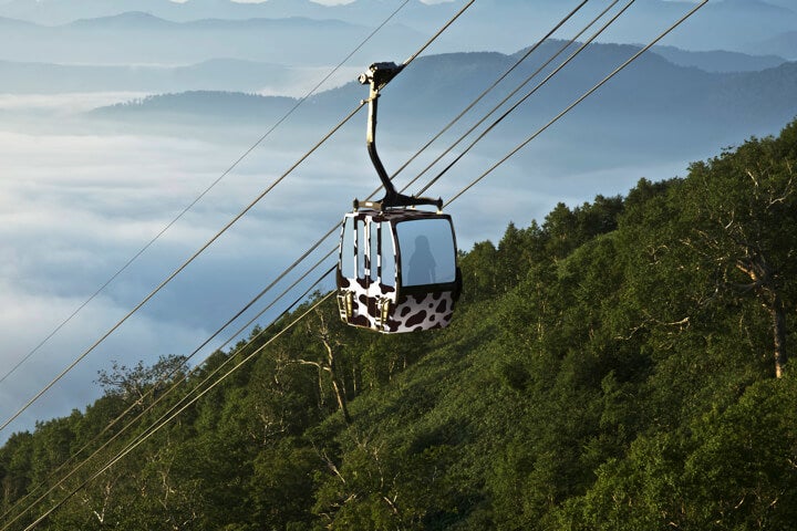 モーモーゴンドラ／画像提供：星野リゾート