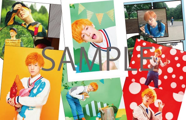 写真サンプル画像