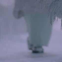 壇蜜が出演した秋田県産「あきたこまち」の新CM「目覚めなさい」篇より