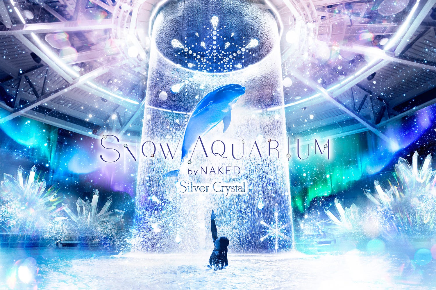 冬だけの感動!アクアパーク品川の雪降るイルカパフォーマンスが美しい
