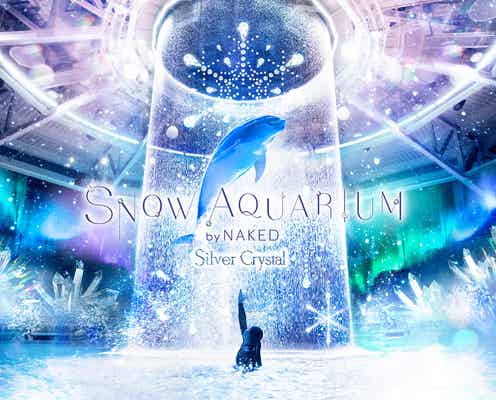 冬だけの感動!アクアパーク品川の雪降るイルカパフォーマンスが美しい
