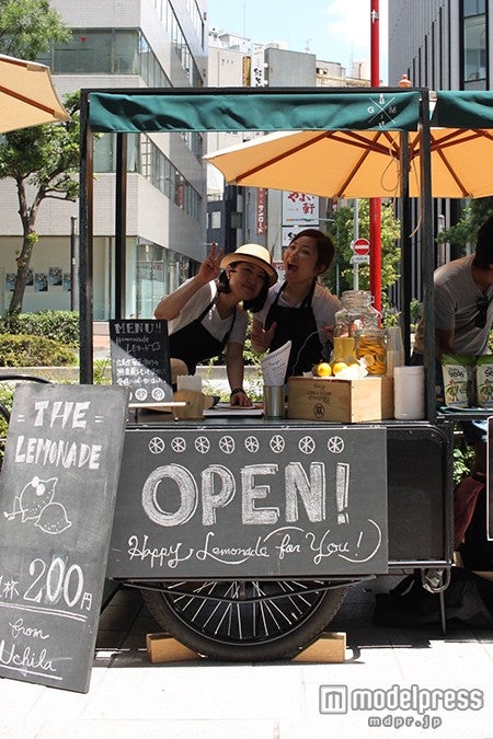 GREEN BLVD MARKET／画像提供：Knit Green実行委員会