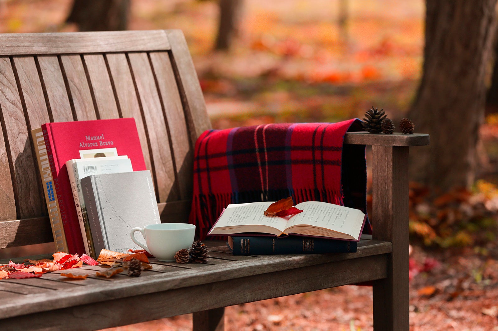 紅葉図書館／画像提供：星野リゾート